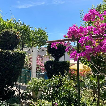 Apartman Jokic Apartamento Selce Exterior foto
